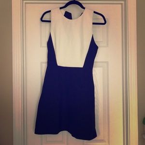 NWOT Medium Zara Dress